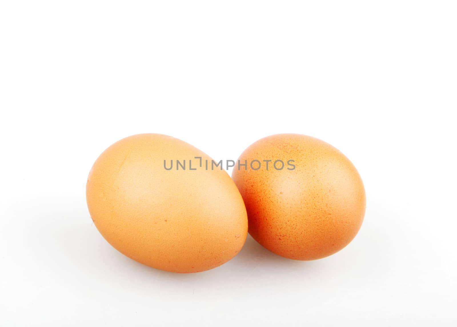 Chicken Egg Against White Background by nenovbrothers