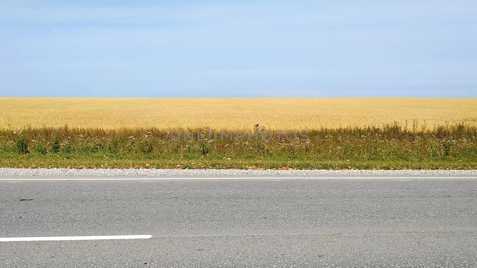 Fragment of an asphalt road passing near the field. Autumn landscape.