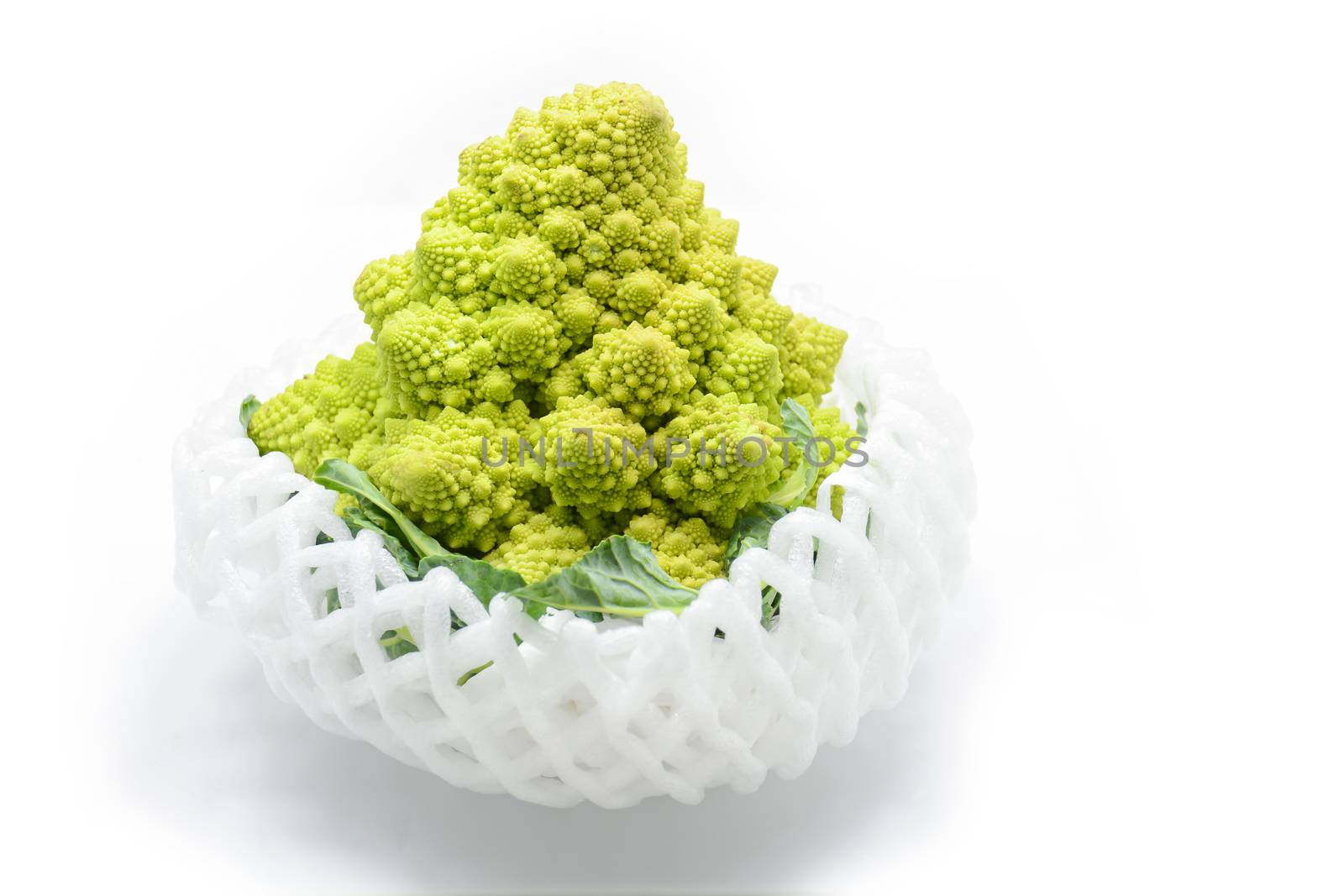 Roman cauliflower isolated on white background, it is an edible flower bud of the species Brassica oleracea. First documented in Italy, it is chartreuse in color.