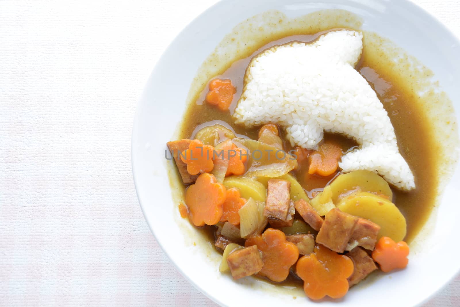 Japanese curry with dolphin rice shape and fried chicken. (Karaage)