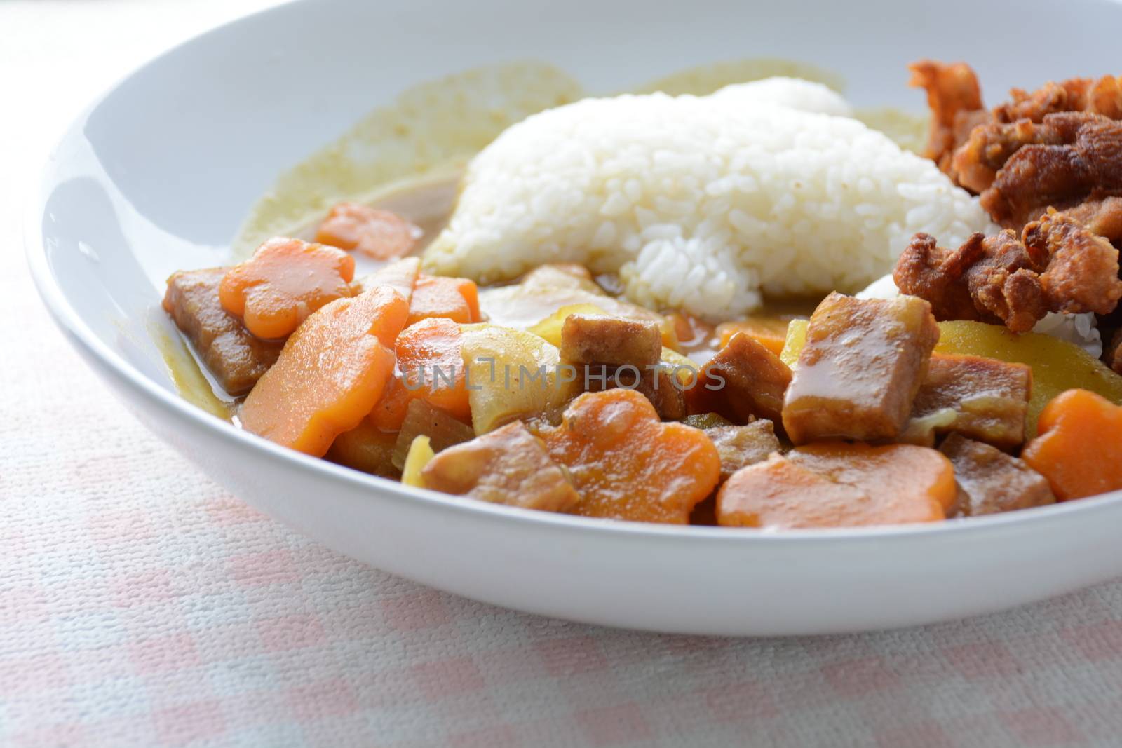 Japanese curry with dolphin rice shape and fried chicken. (Karaage)