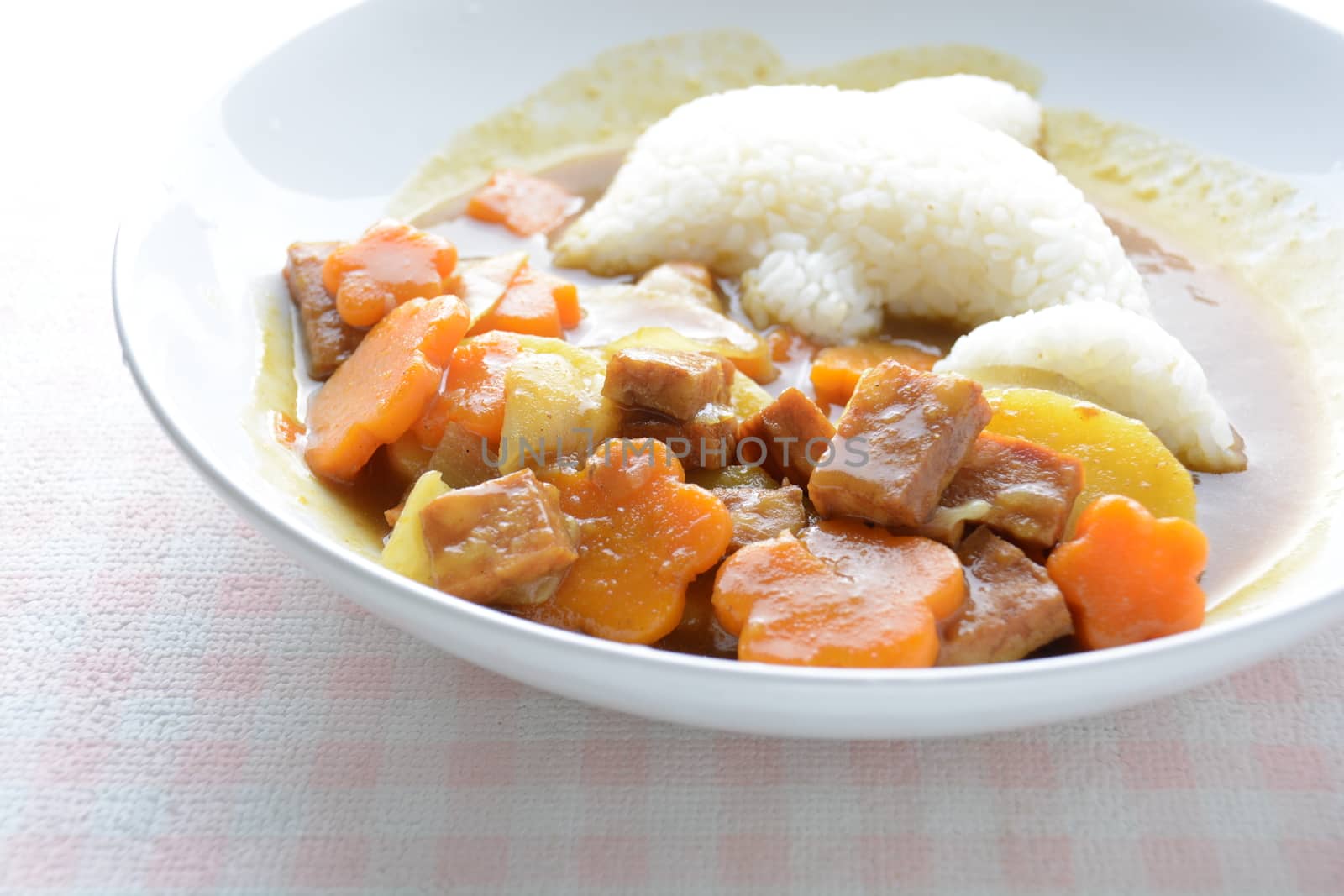 Japanese curry with dolphin rice shape and fried chicken. (Karaage)