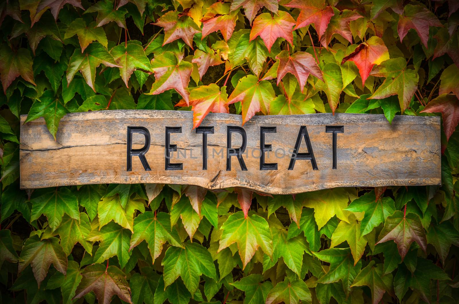 Rustic Wooden Carved Sign For A Spiritual Retreat Against A Beautiful Leafy Backdrop