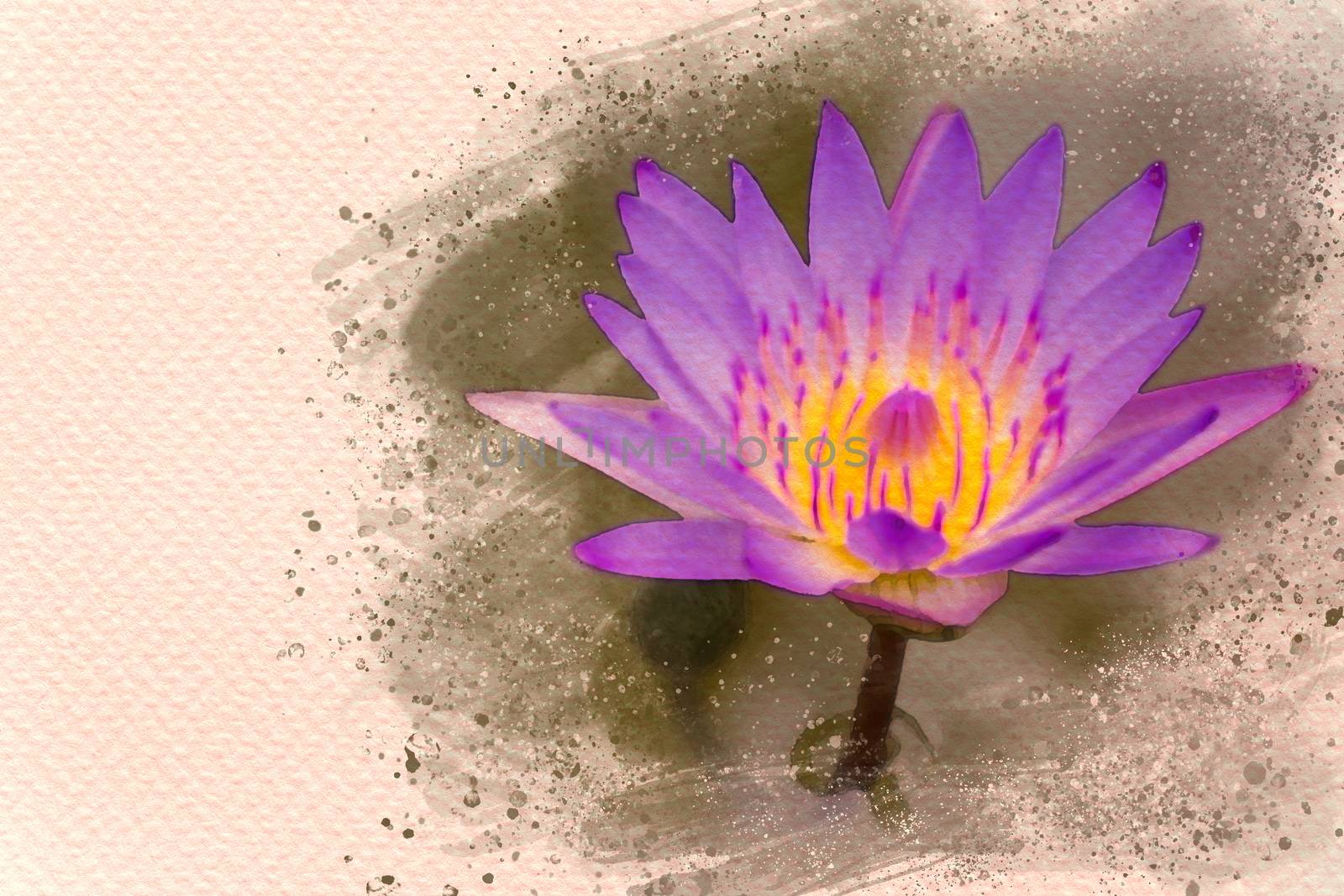 Closeup lotus in the swamp. Digital watercolor painting effect.  by SaitanSainam