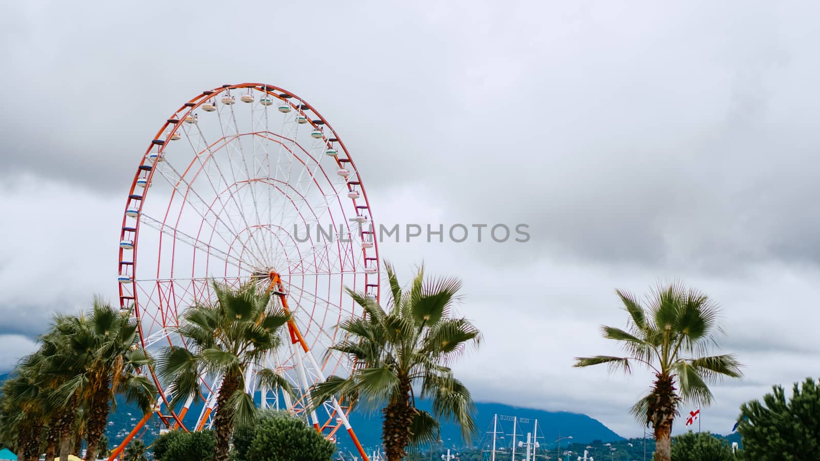 Green tropical palm tree with big ferris wheel and sky by natali_brill