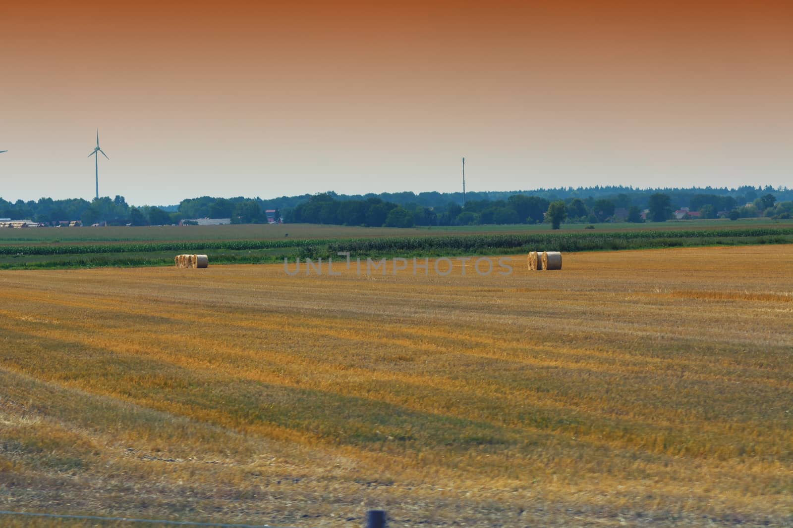 Big hay bales on a field after the harvest