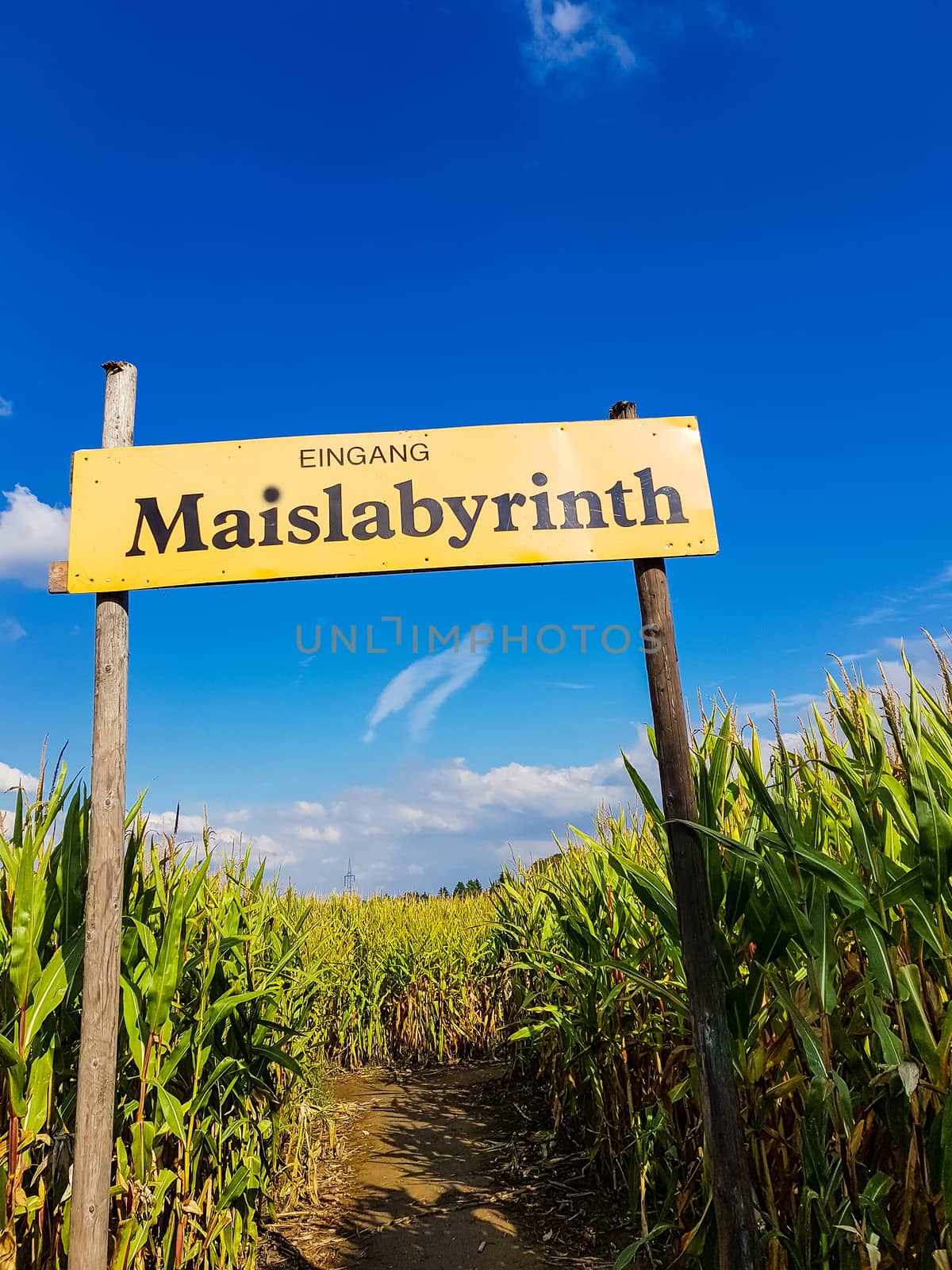 Corn Maze is a maze cut from a corn field. Maize labyrinths are popular with tourists and children. Entrance sign in front of blue sky with lettering in german - entrance Maislabyrinth