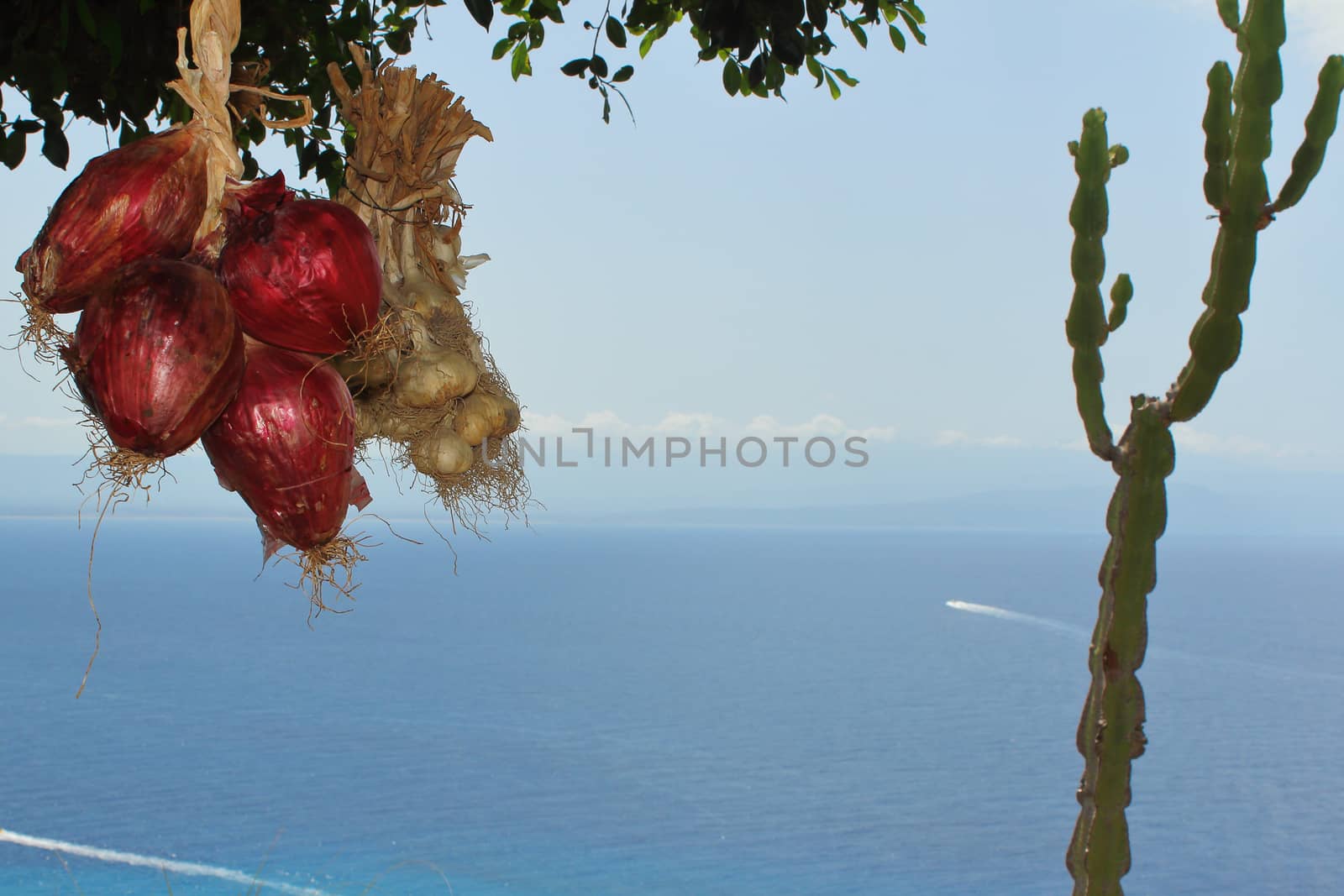 onion with the sea background by giuseppe_capellupo