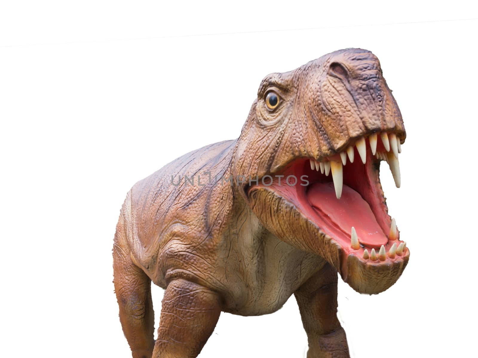 Tyrannosaurus T-rex ,dinosaur on white background