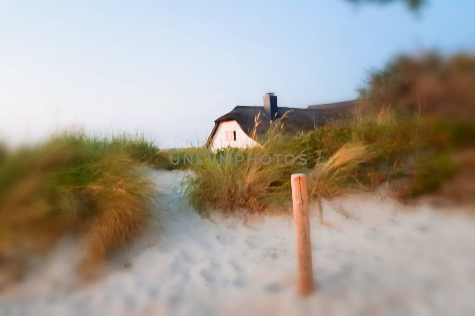Traditional thatched roof house on a sunny summer day at the baltic sea near the island Ruegen, Germany.