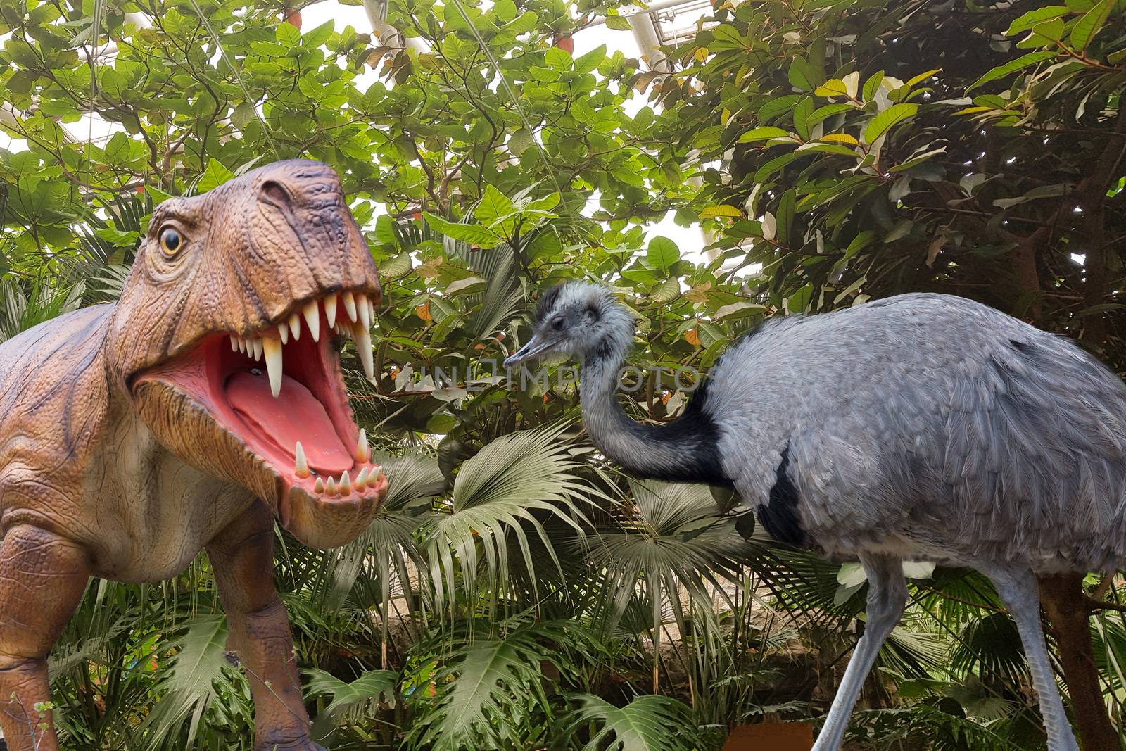 Big black ostrich and a dinosaur. Close-up against the backdrop of a jungle