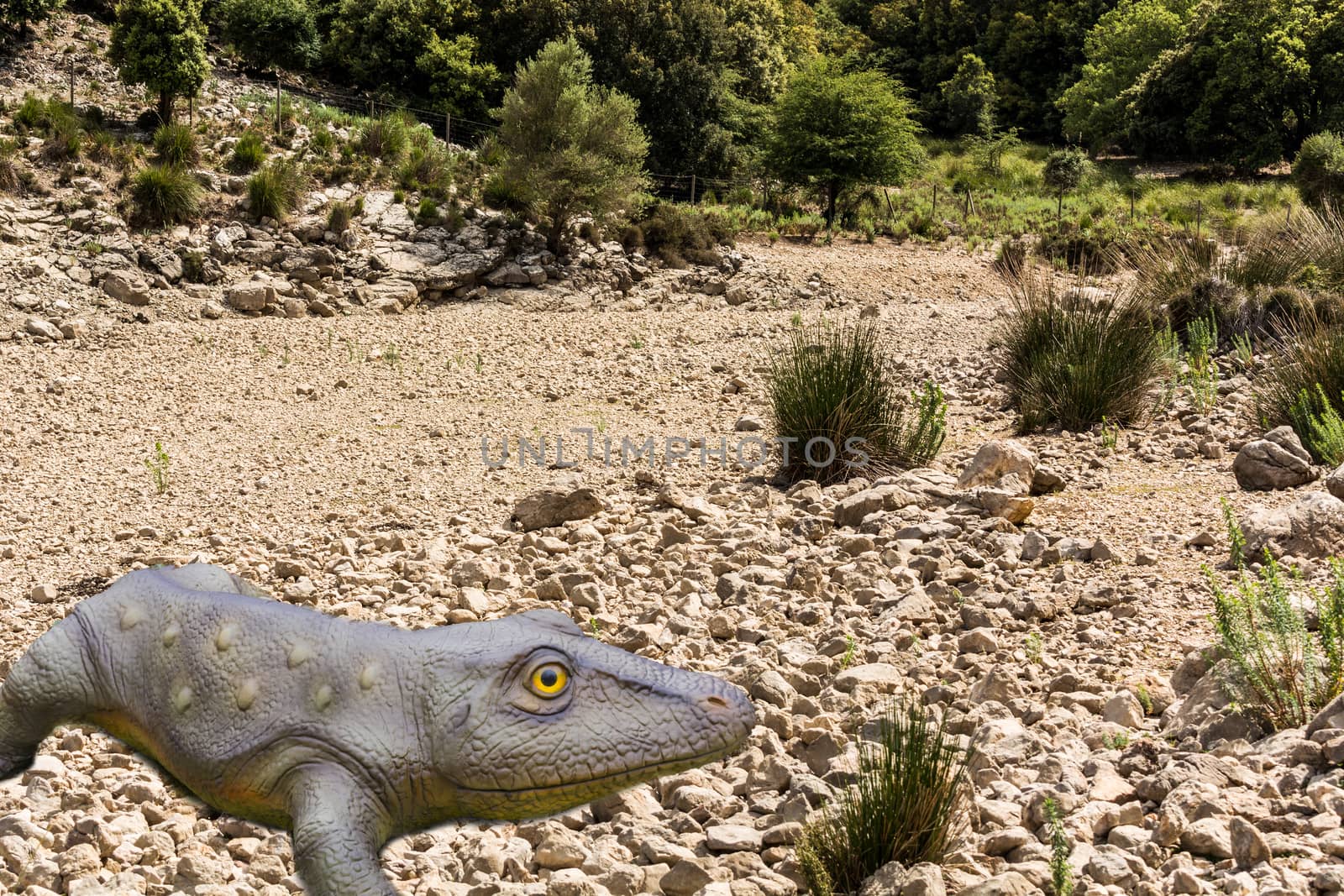 Dry river bed and cracked soil with stones and green plants.