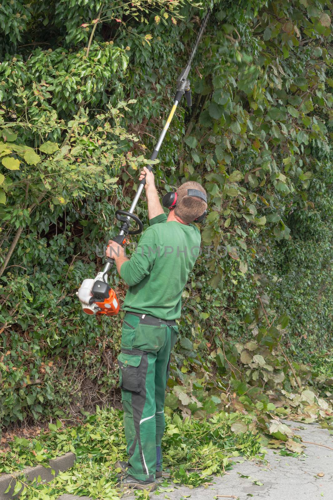 Cutting a hedge  by JFsPic