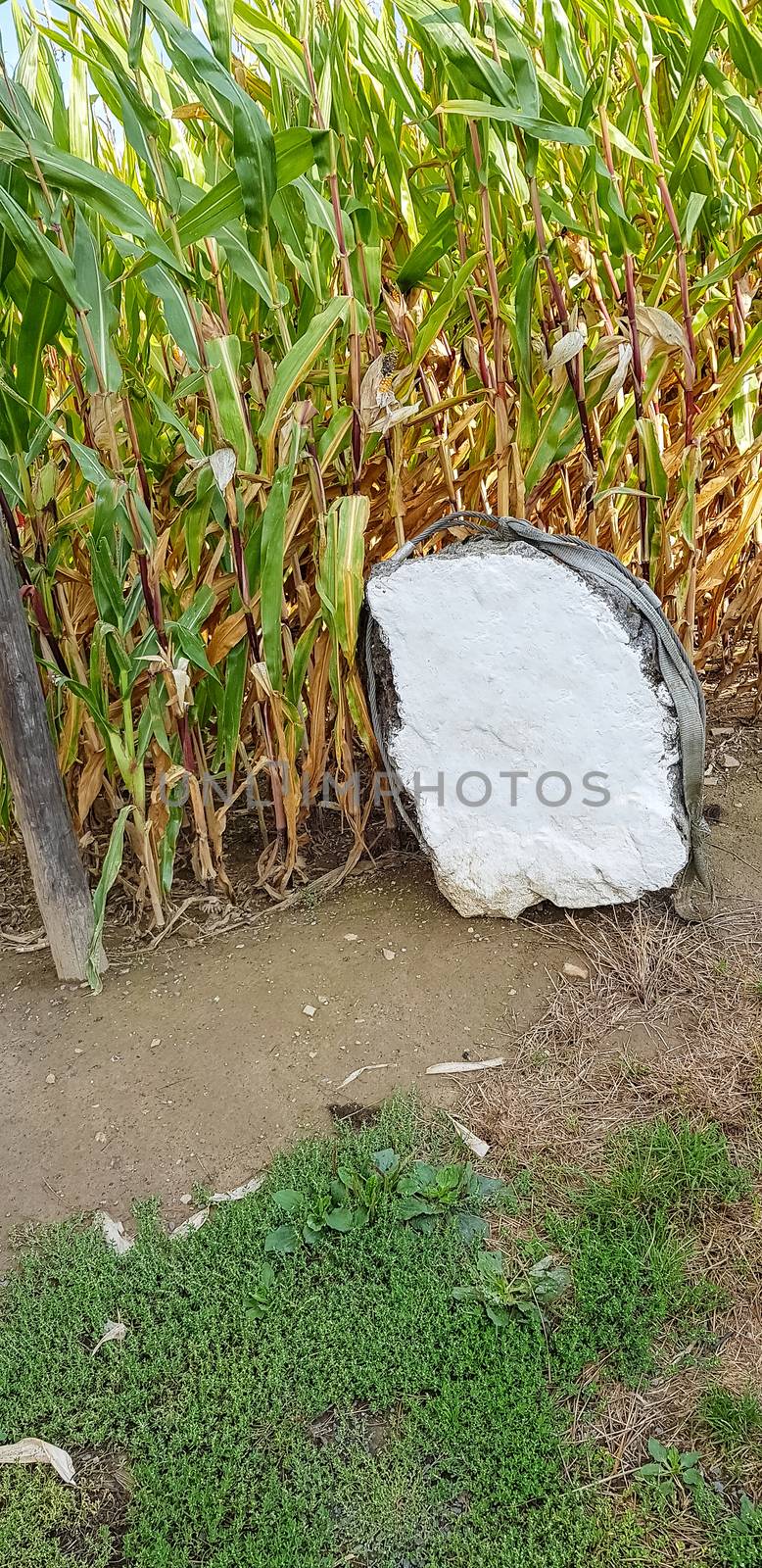 White painted stone next to a hiking trail with copy space