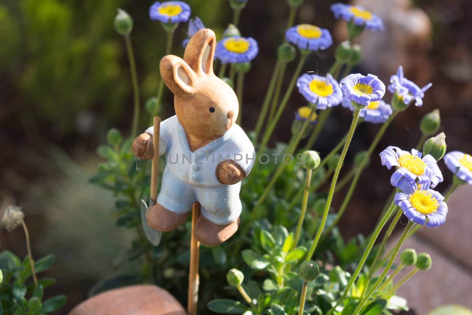 Small wooden bunny in a flowerpot  by JFsPic