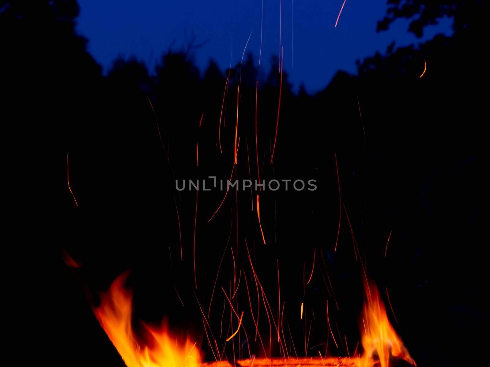 Campfire flame with long sparks against the background of the night forest.