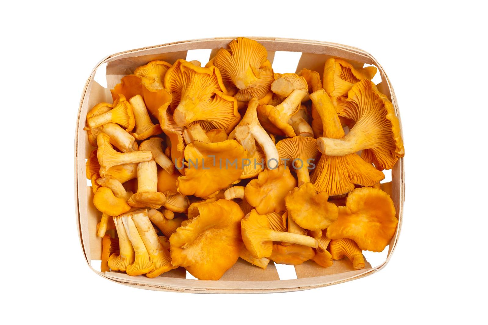 Group of edible forest chanterelle mushrooms in a wooden box of veneer isolated on white background, top view.