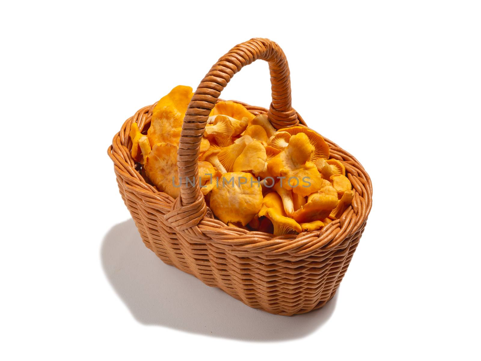 Group of edible forest chanterelle mushrooms in wicker basket isolated on white background.