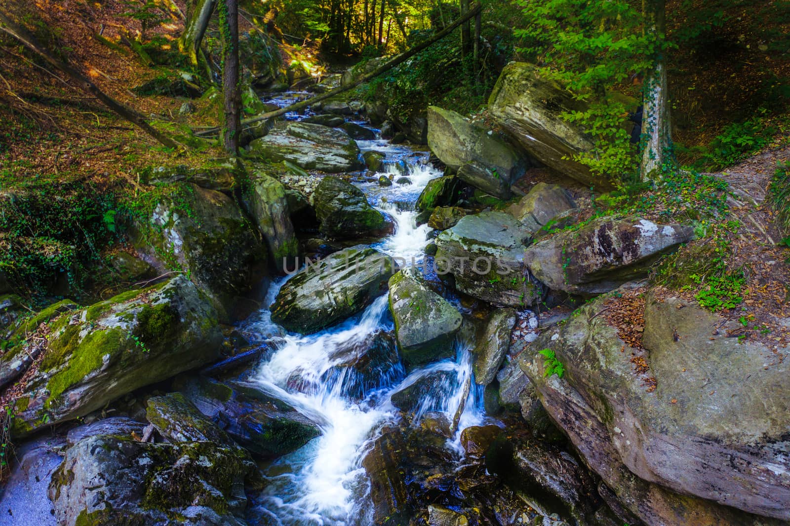 Mountain river flowing over rocks and boulders in forest by asafaric