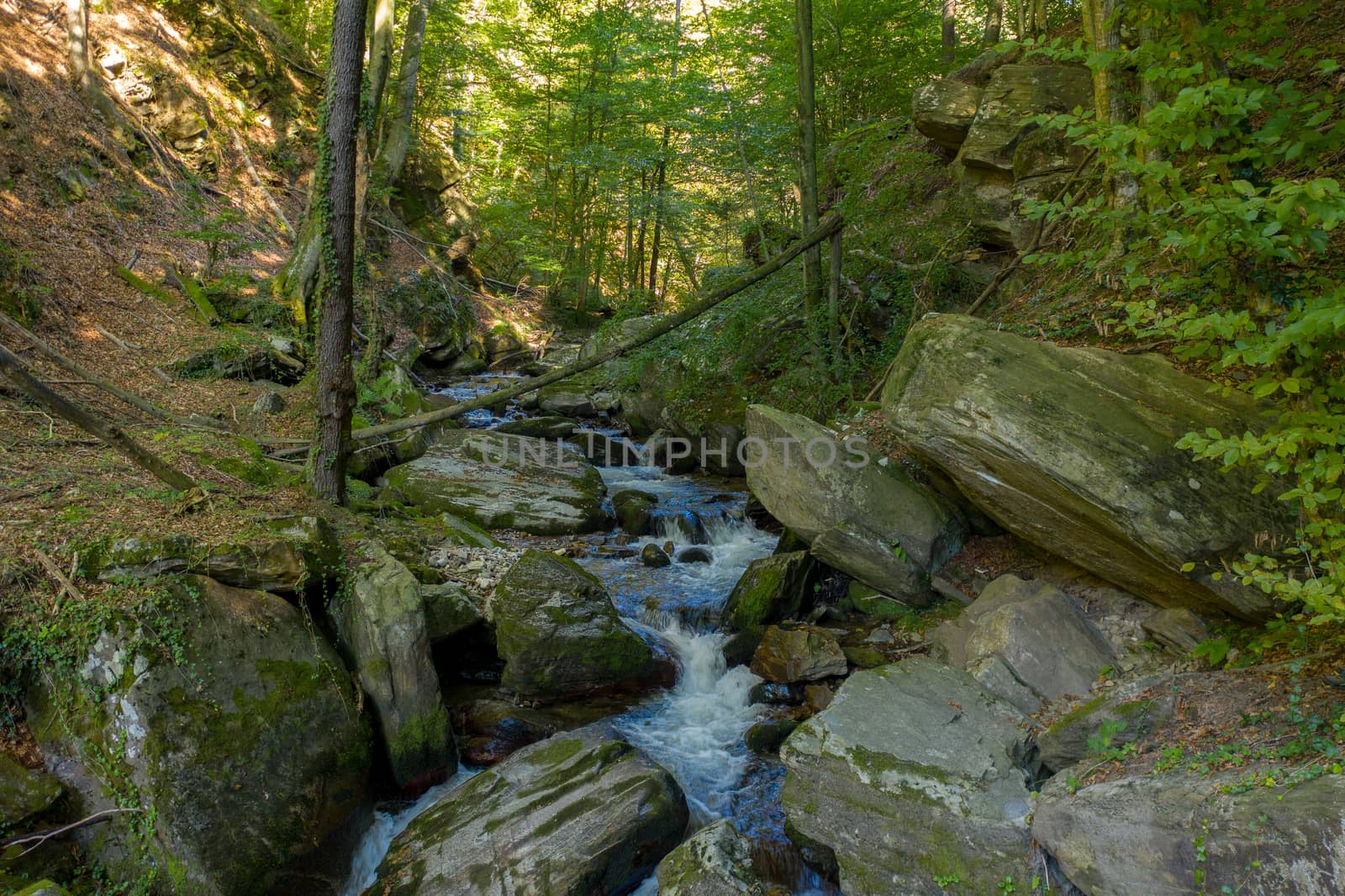 Mountain river flowing over rocks and boulders in forest by asafaric