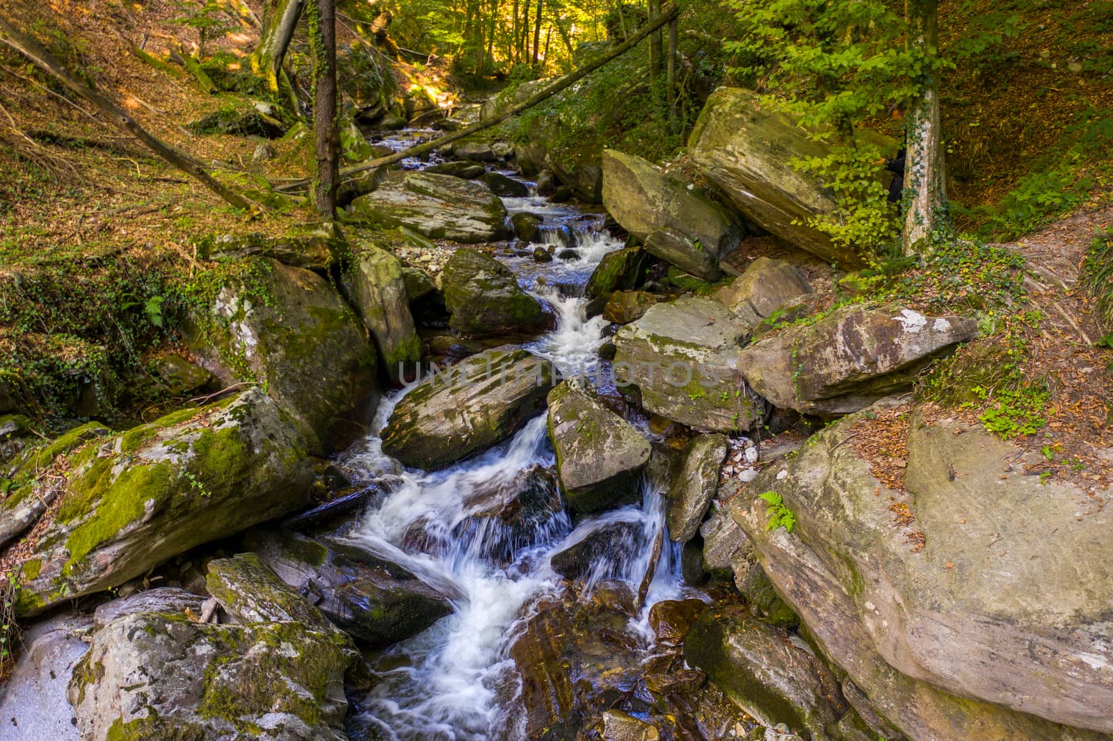 Mountain river flowing over rocks and boulders in forest by asafaric