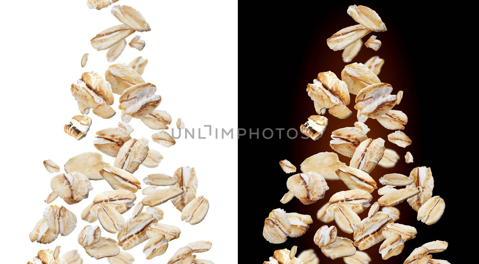 Falling oat flakes isolated on white and black backgrounds. Falling oats
