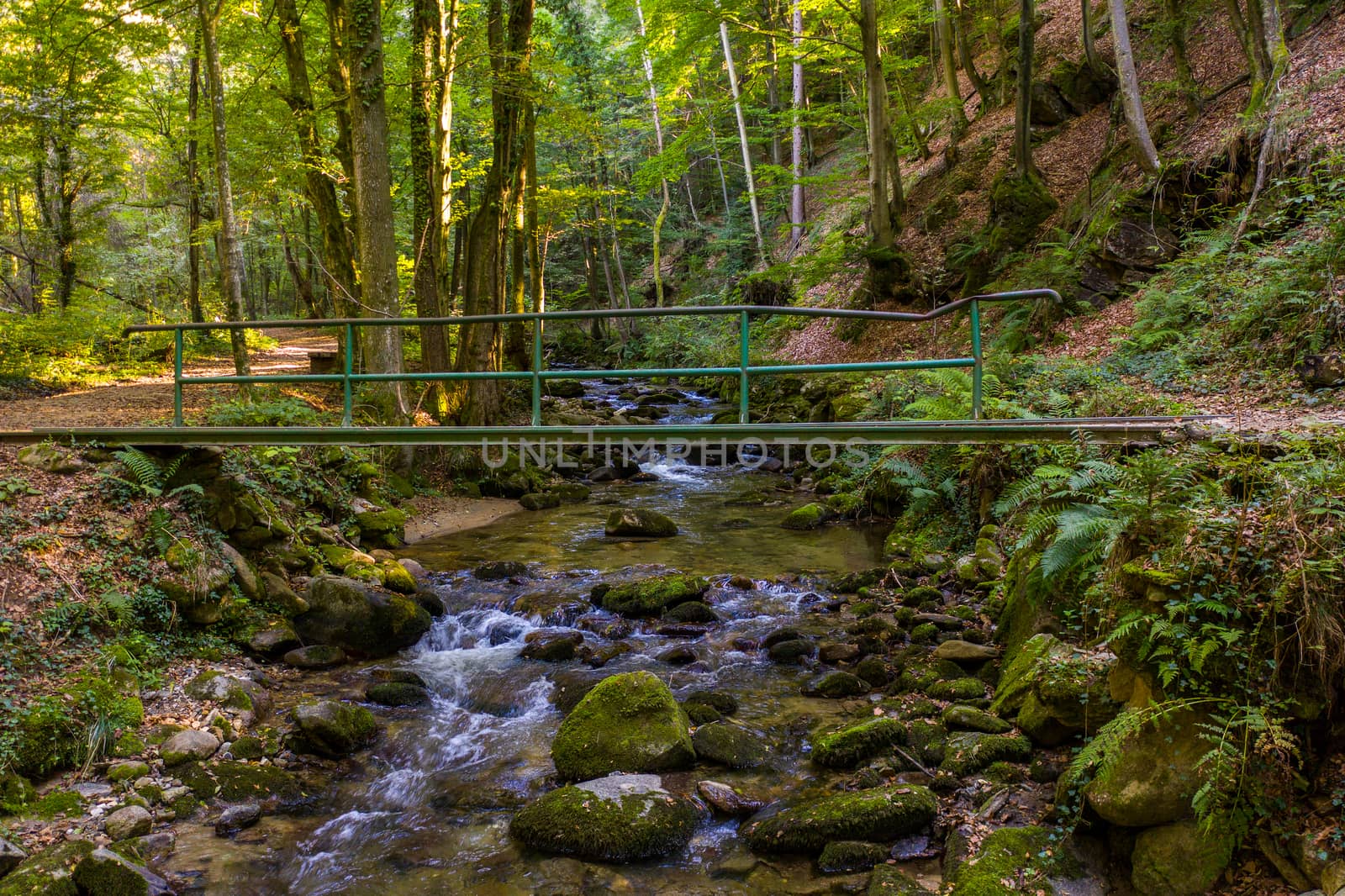 Mountain river flowing over rocks and boulders in forest, iron bridge crossing, Bistriski Vintgar gorge on Pohorje mountain, Slovenia, hiking and outdoor tourism landmark, ecology clean water concept