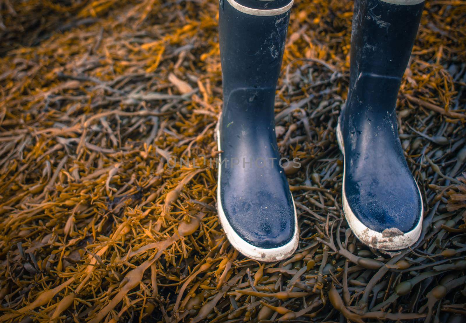 Rubber Boots On Seaweed by mrdoomits
