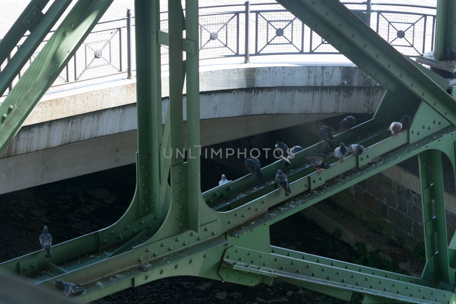 The supporting framework of the Wuppertal suspension railway.
On the steel girder pigeons which all pollute.