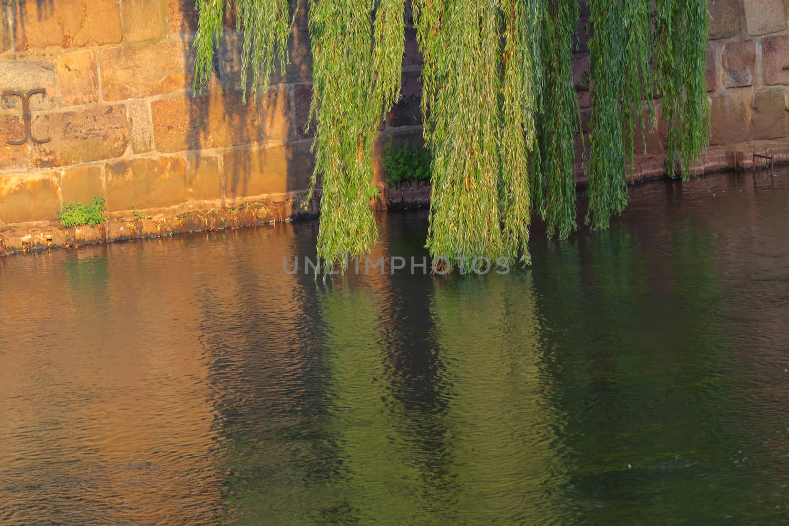 The river Ilmenau with weeping willows by JFsPic