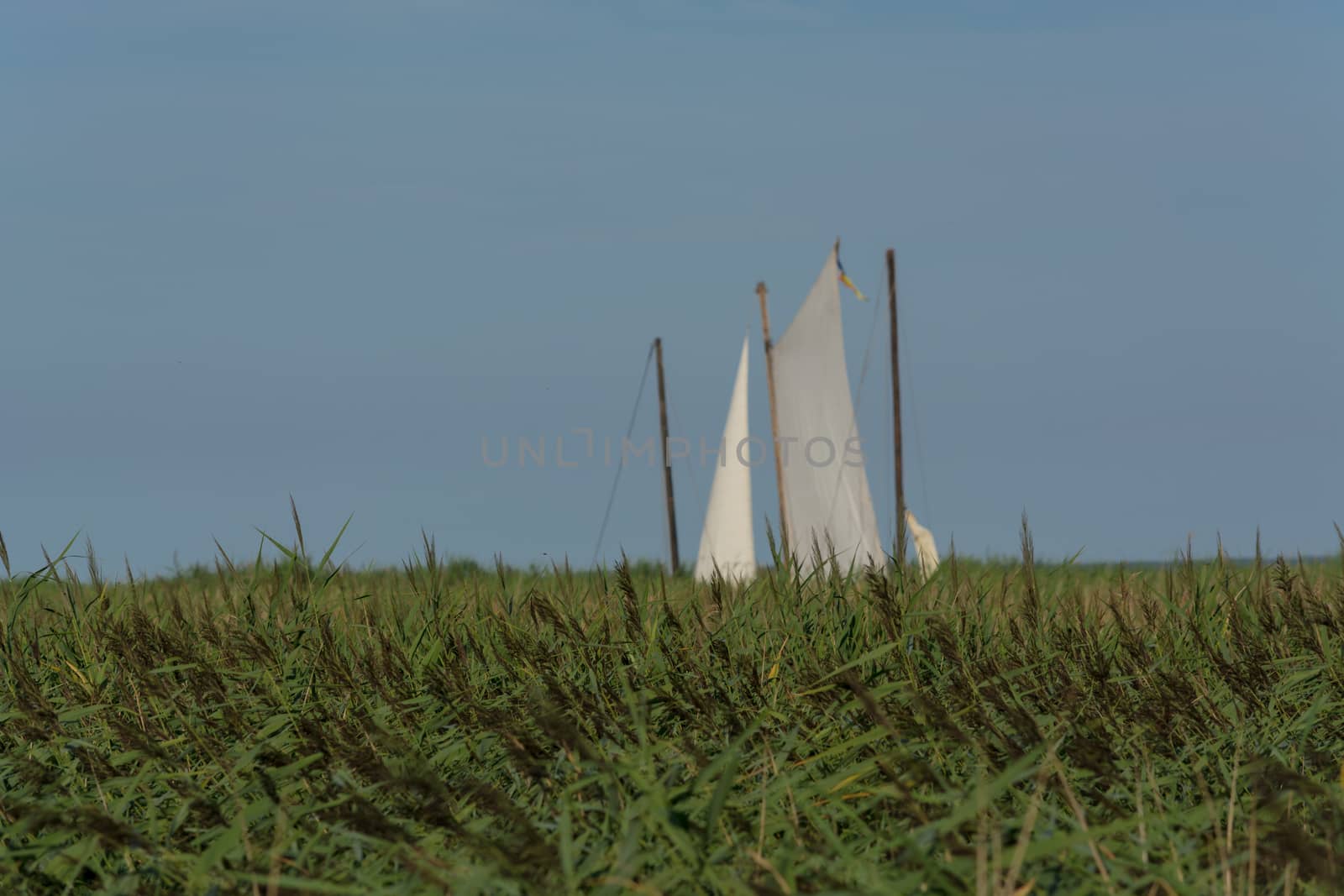 Wooden boat on the shore of a lake in the reeds              