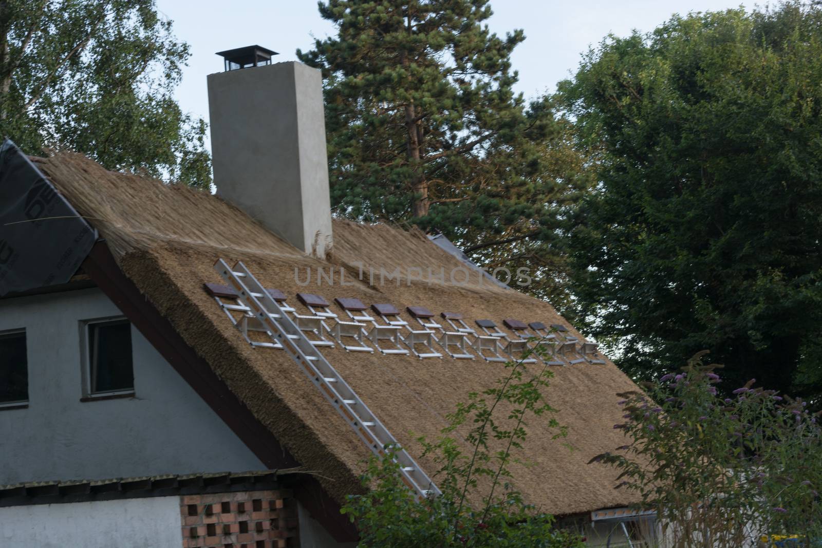 Thatched roof is newly covered          by JFsPic
