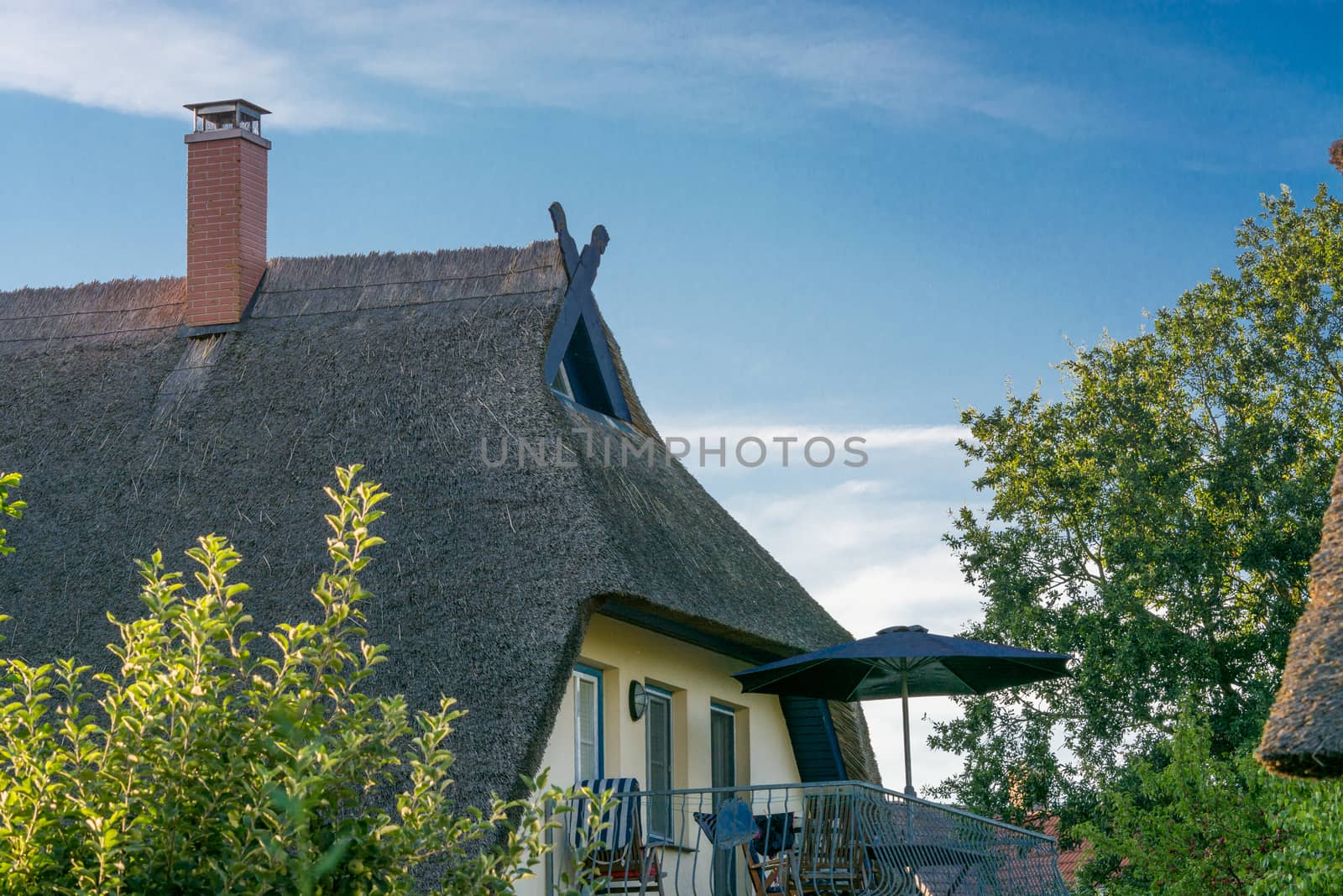 Houses on the Fischland-Darß with a thatched roof
