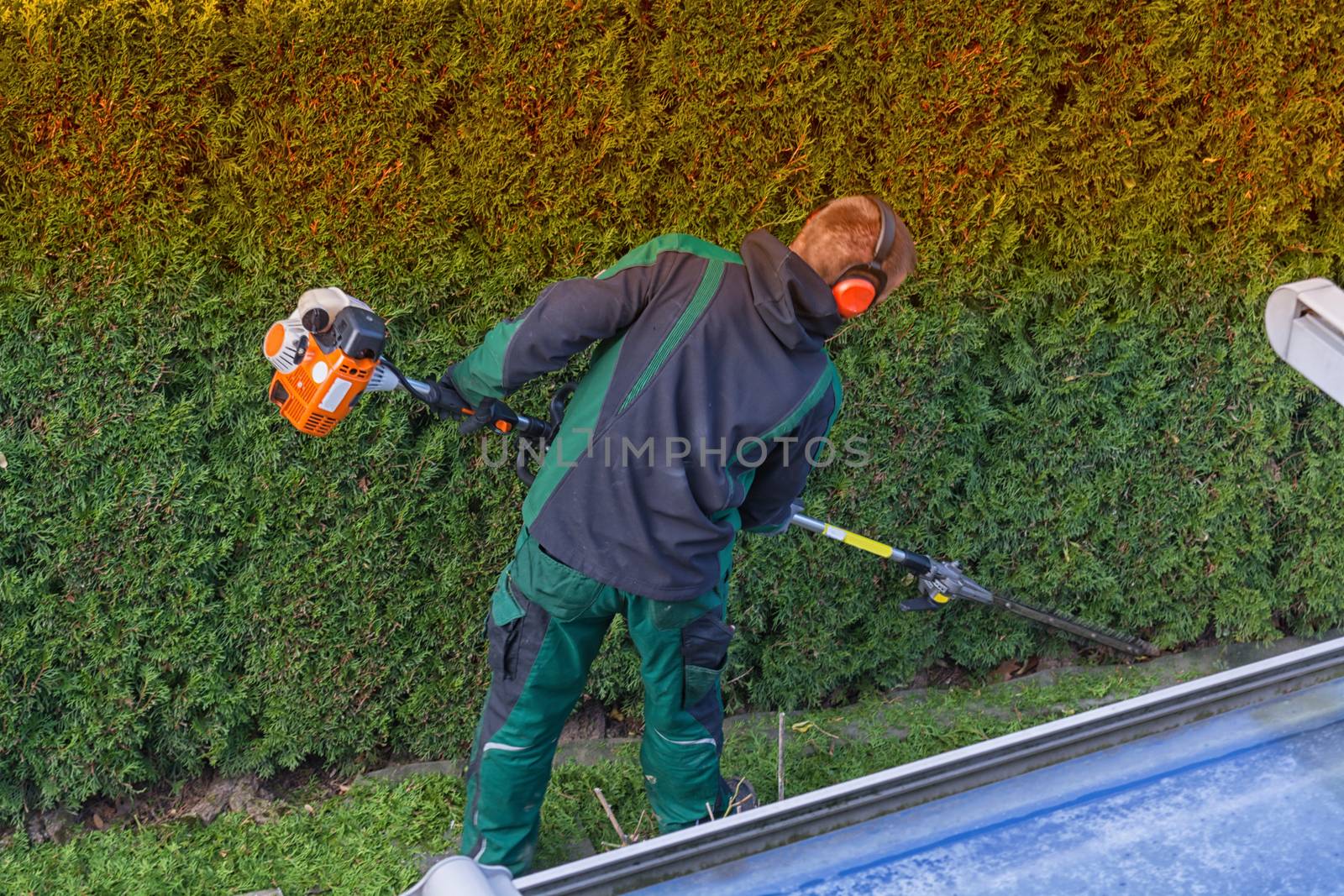 Gardener cuts a hedge  by JFsPic