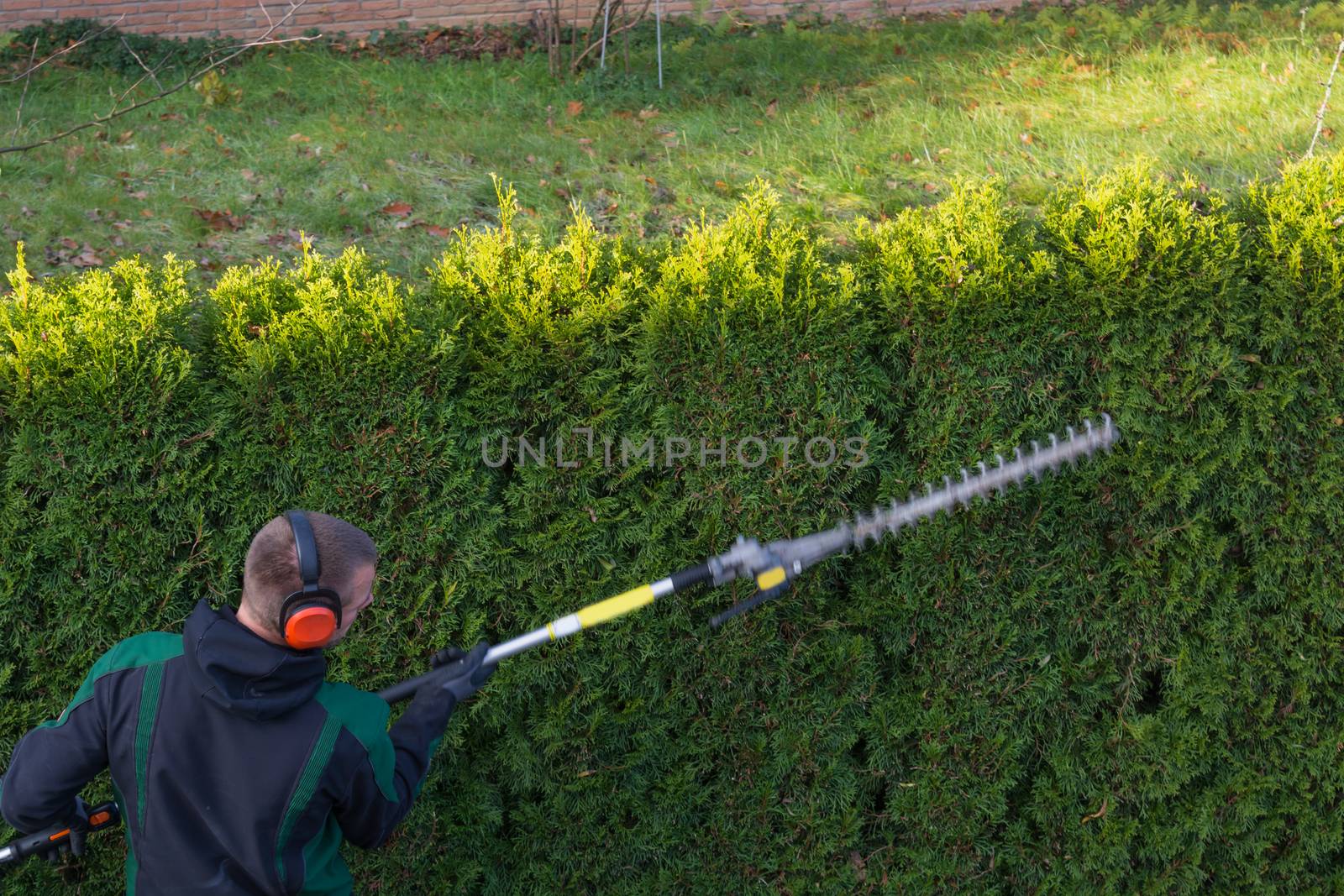 Gardener cuts a hedge  by JFsPic
