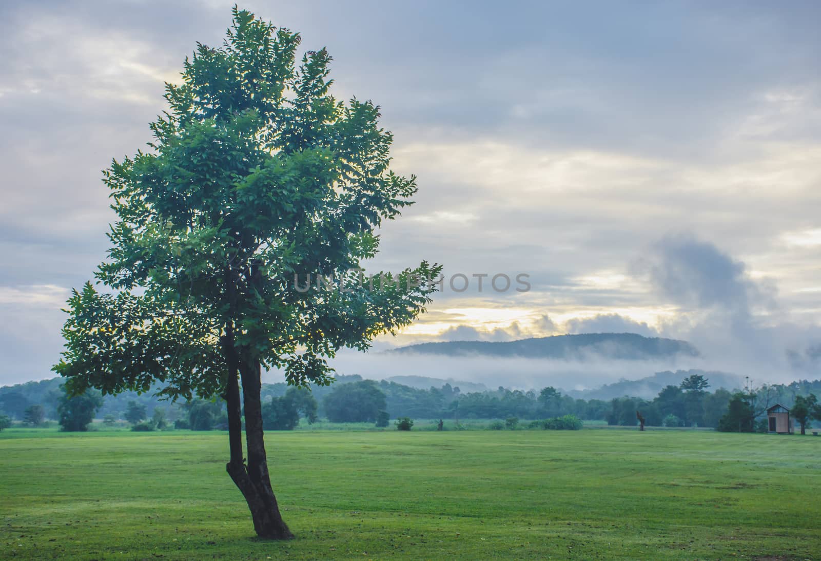 Green background sunrise in Chiang Rai, Thailand.