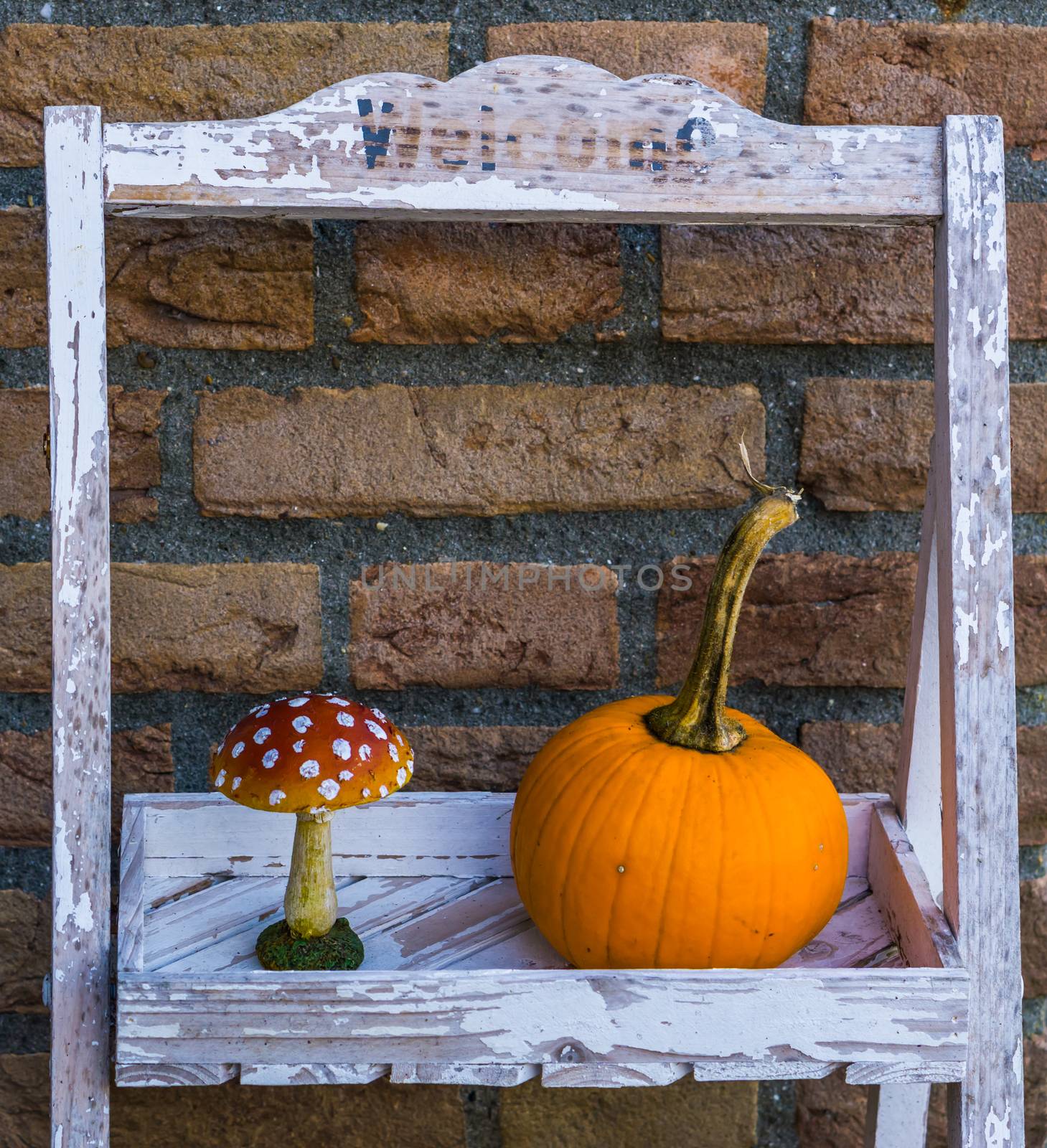Welcome sign decorated with halloween and autumn ornaments, Traditional and seasonal background by charlottebleijenberg