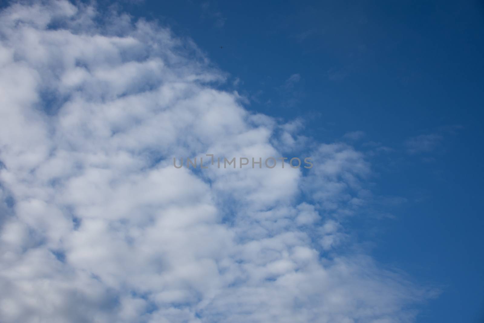 blue sky background with tiny clouds. by anuraksir