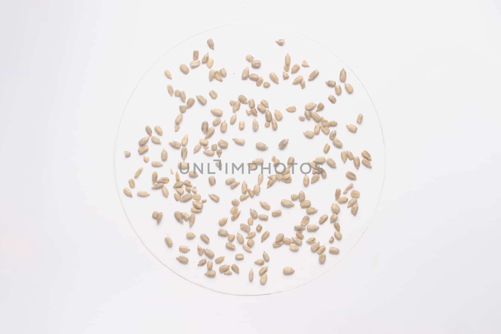 Sunflower seeds isolated on white backgroud. 