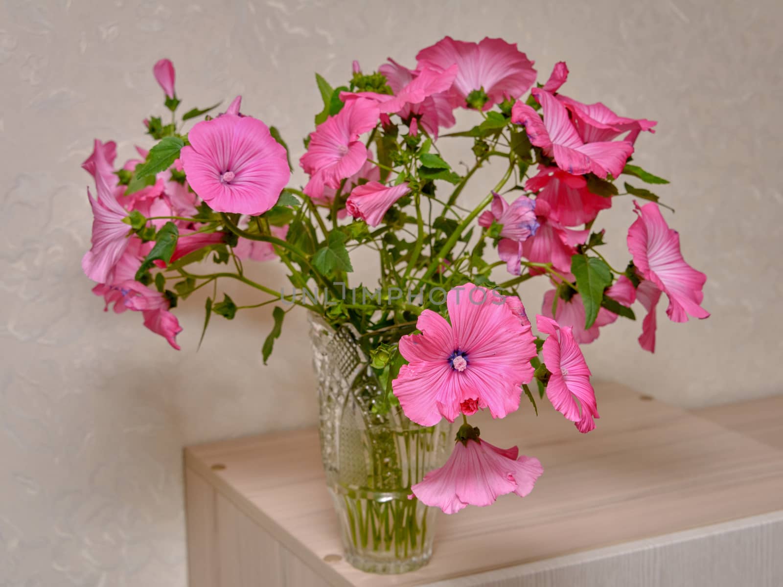 Bouquet of pink flowers in vase isolated on white background