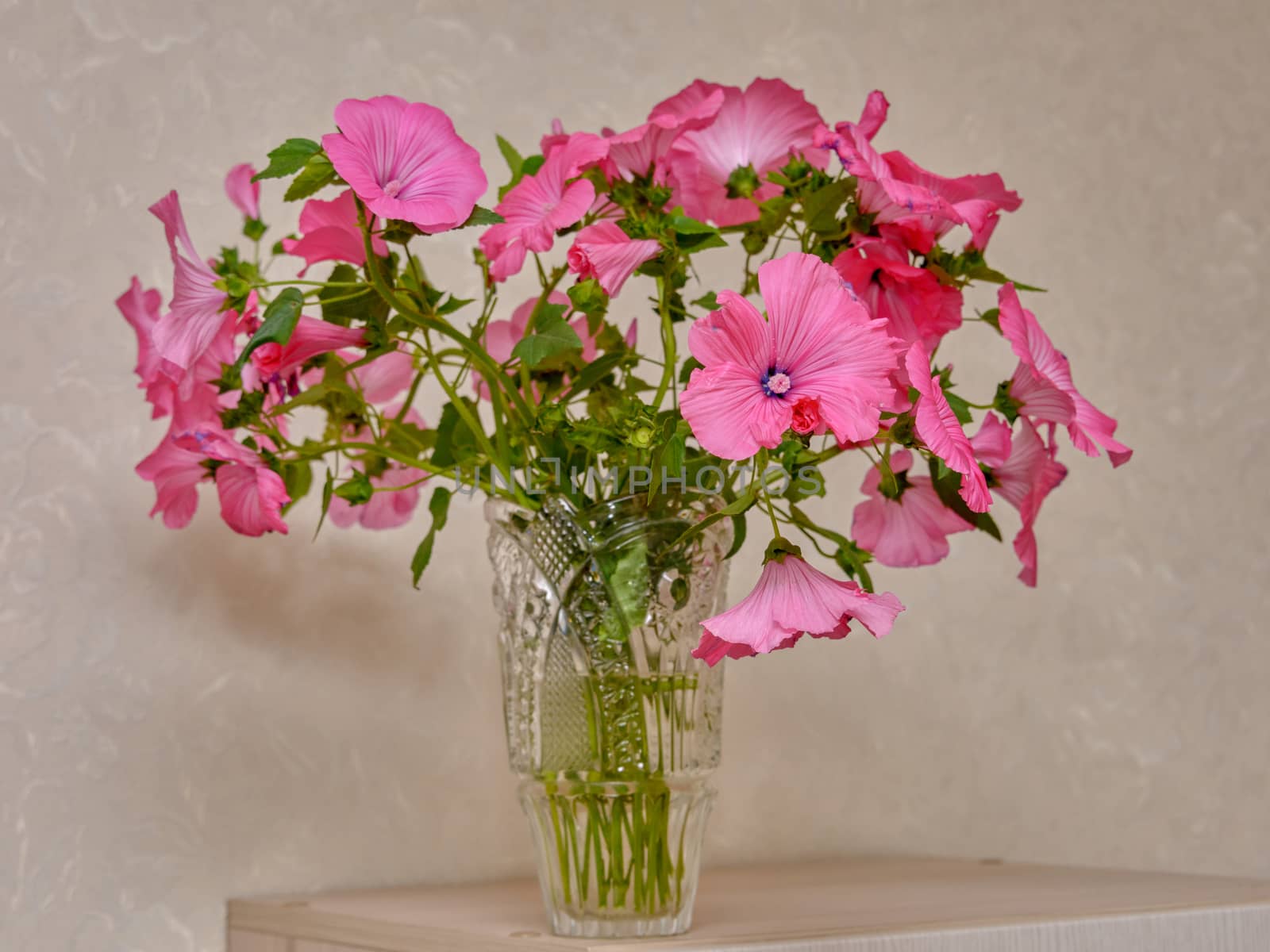 Bouquet of pink flowers in vase isolated on white background