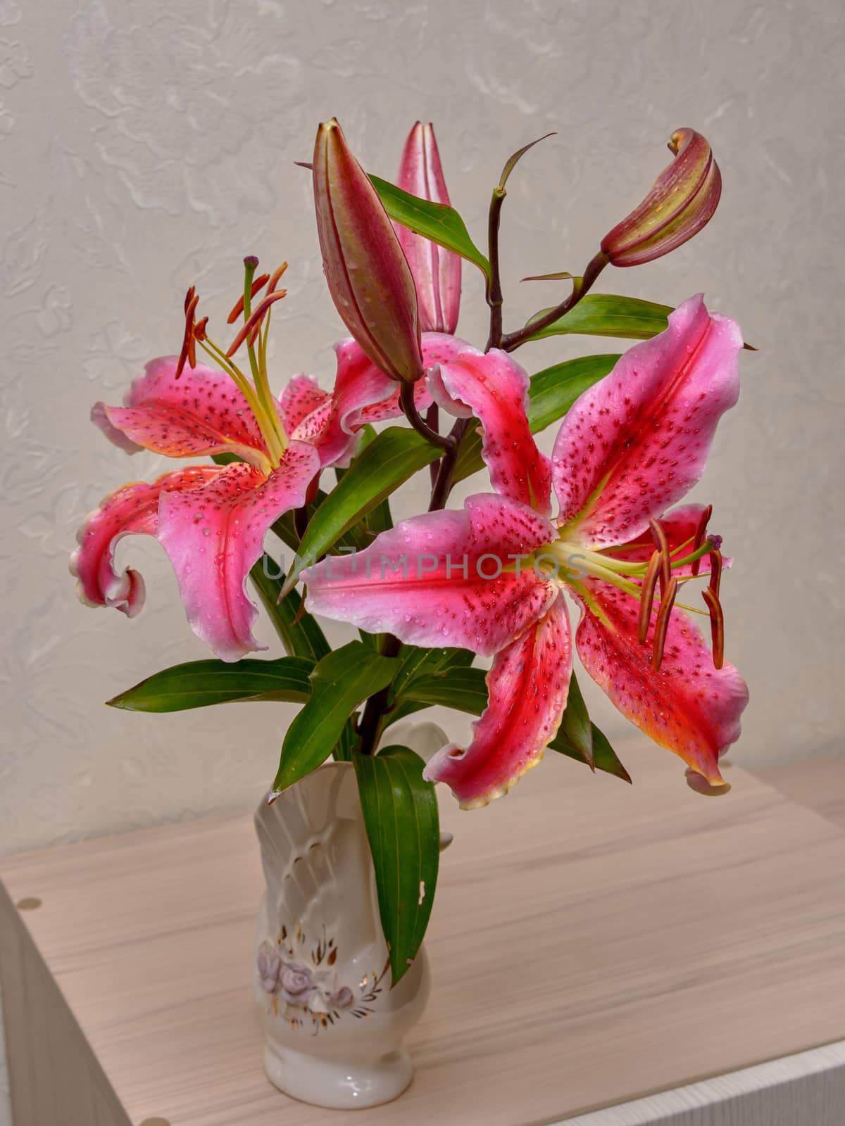 Bouquet of pink flowers in vase isolated on white background
