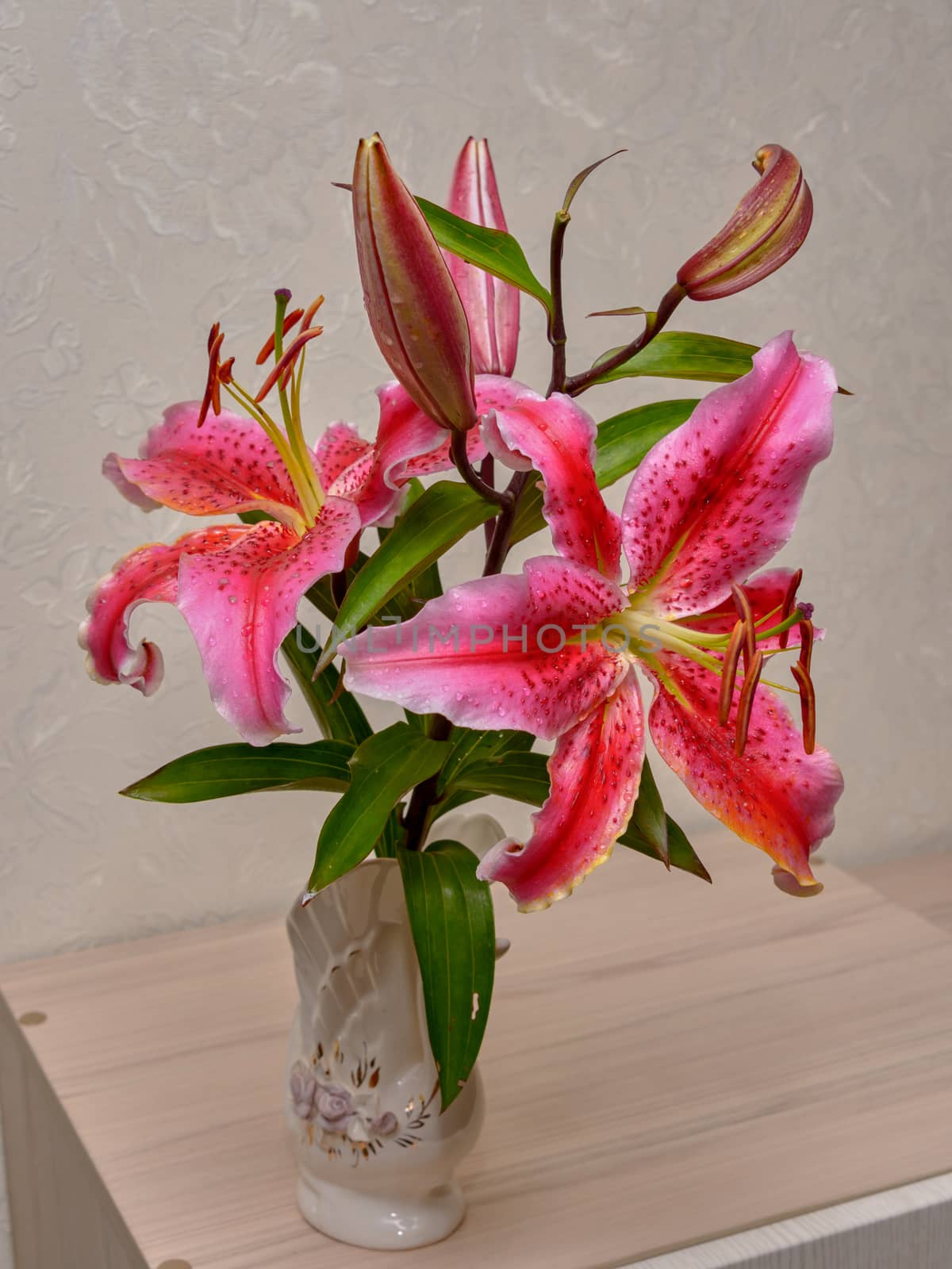 Bouquet of pink flowers in vase isolated on white background