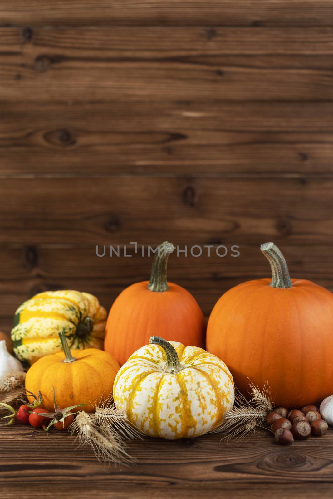 Autumn harvest still life with pumpkins, wheat ears, hazelnuts, garlic, onion and rosehip berries on wooden background