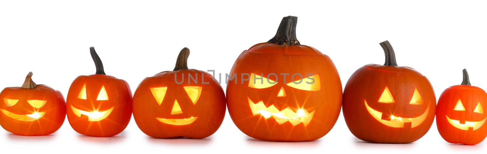 Five Halloween Pumpkins isolated on white background