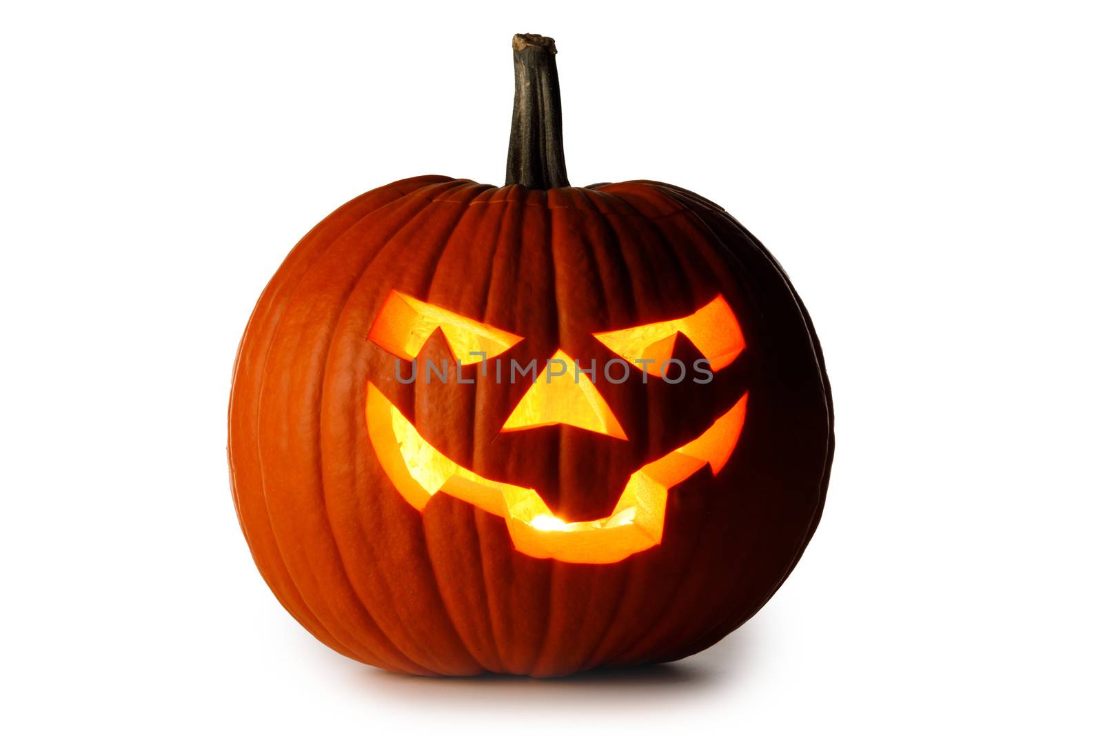 One Halloween Pumpkin isolated on white background