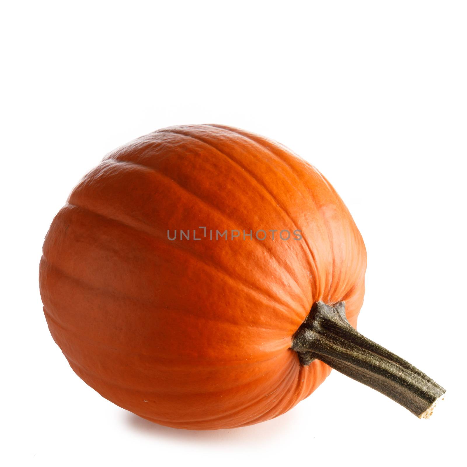 One perfect pumpkin isolated on white background