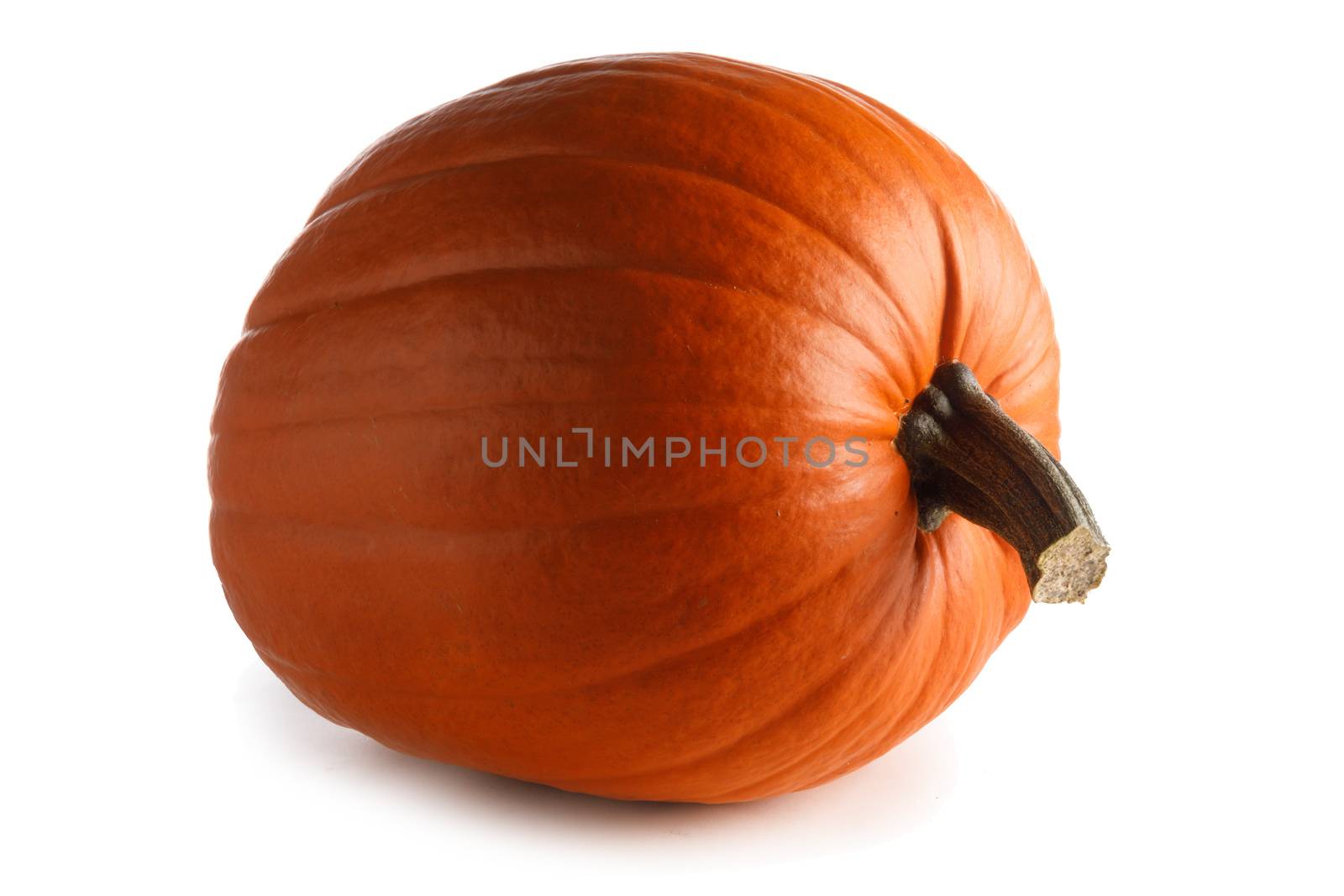 One perfect pumpkin isolated on white background