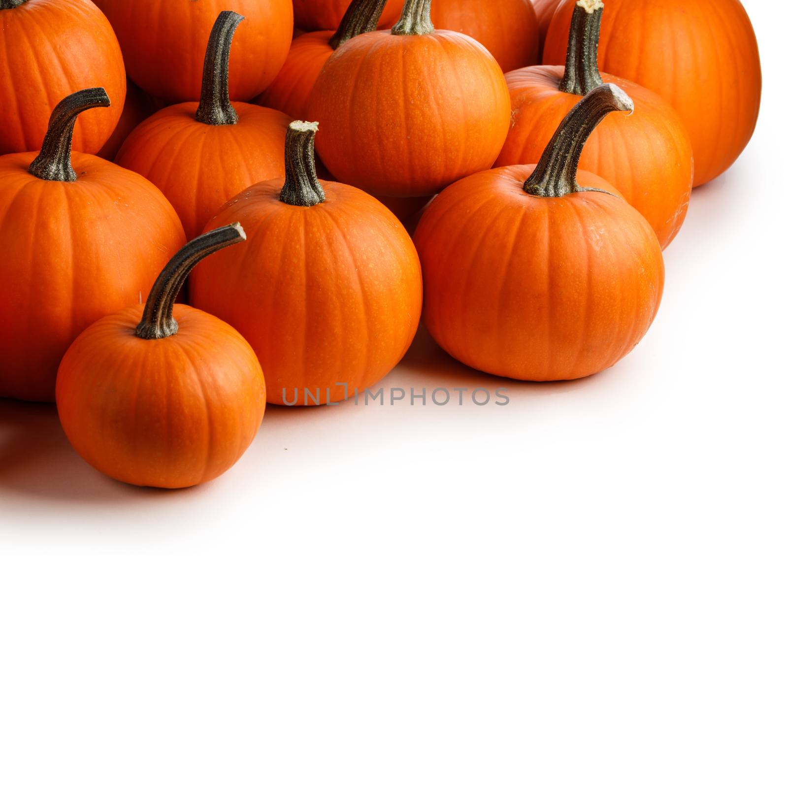 Many orange pumpkins isolated on white background corner composition, Halloween holiday concept