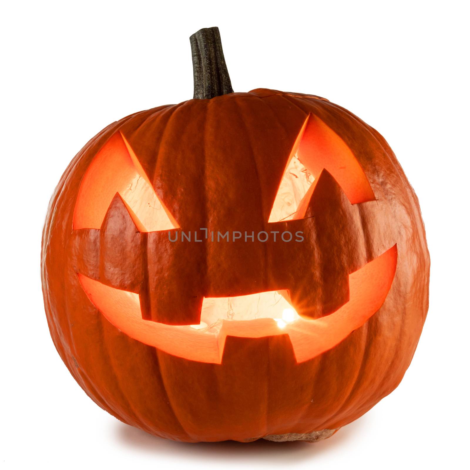 One Halloween Pumpkin isolated on white background